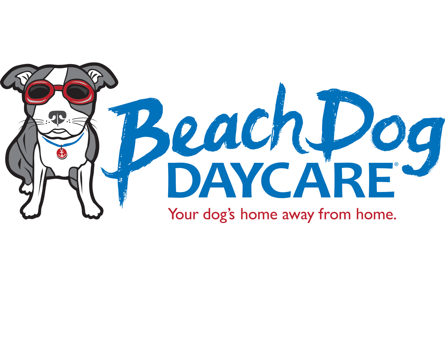 Beach Dog Daycare