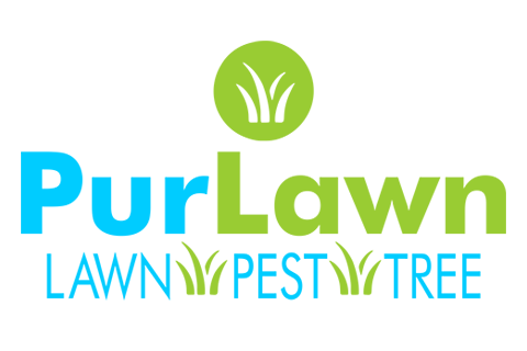 PurLawn-Logo-e1666199370995