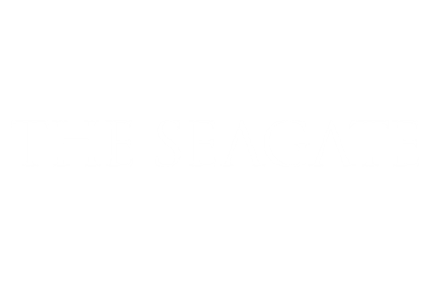 logo-sponsor-Seagate_Text
